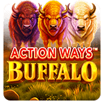 Action Ways Buffalo