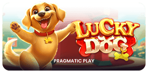 Lucky Dog